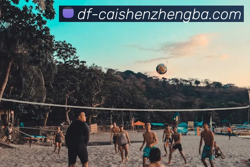 彩神争霸服务体系